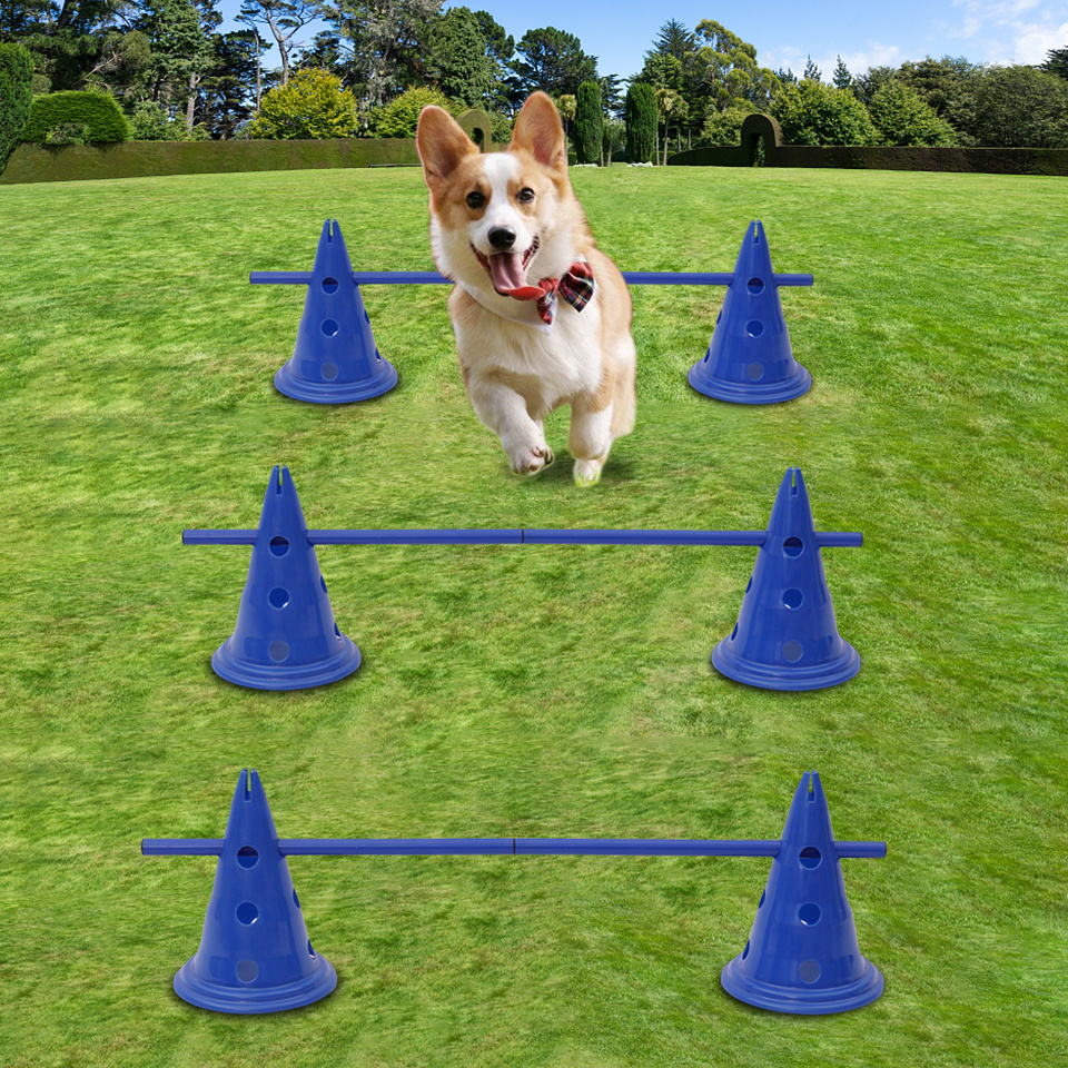 Dog Whistle Ultrasonic Training Crufts Dog Control Pet Handling Keyring