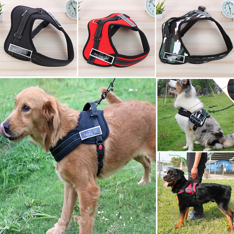 dog security collar