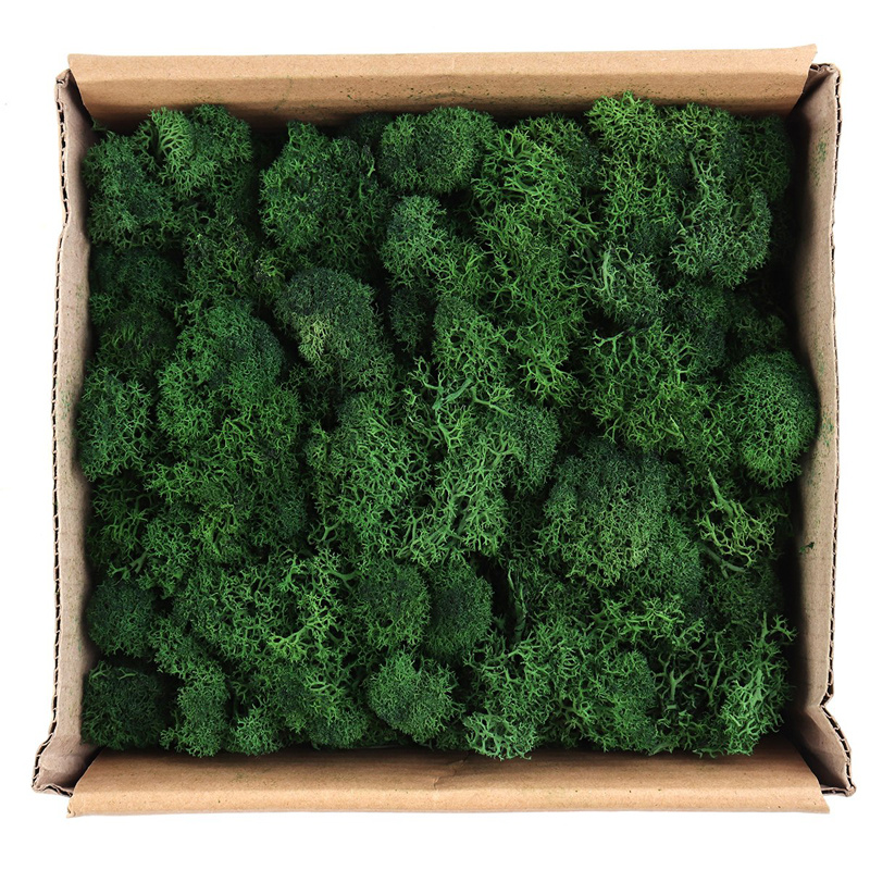100g Artificial Plant Dried Reindeer Moss Craft Garden Home Wedding Artificial Plant Diy Dried Reindeer Moss 100g Craft Flowers Garden Home Wedding Wall Decor