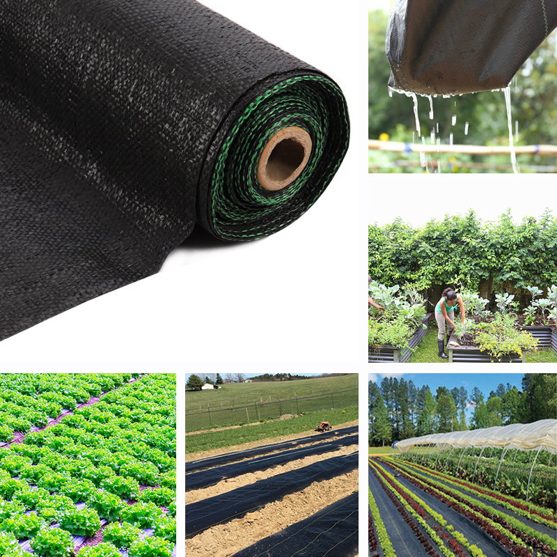 FABRIC MEMBRANE 20M//25M//100M LONG GROUND WEED CONTROL LANDSCAPE GROUNDMATS COVER